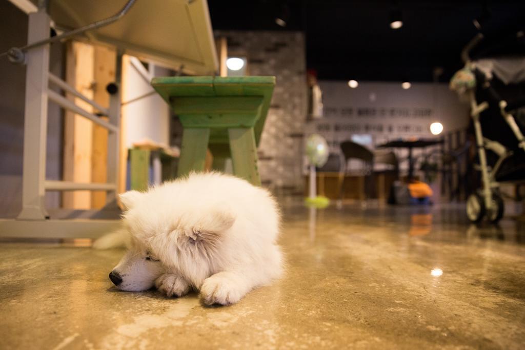 Suncheon Guesthouse Nreem Zewnętrze zdjęcie